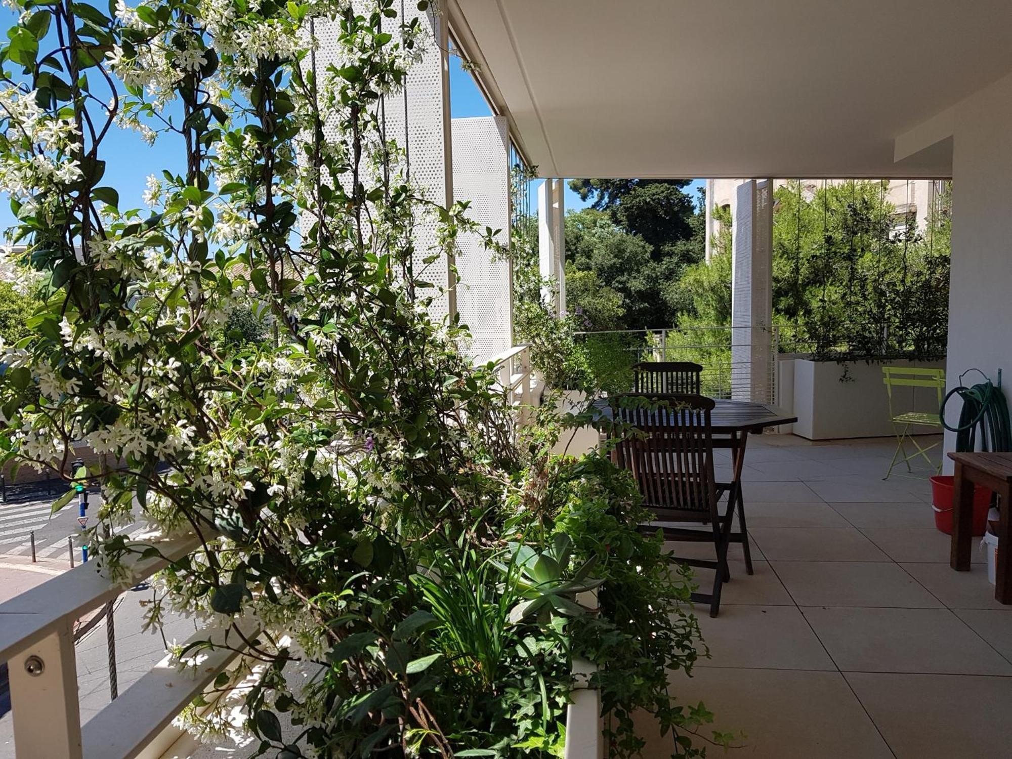 Appartement Centre Ville Beaux Arts 2 Personnes Calme Et Confort Montpellier Exteriör bild